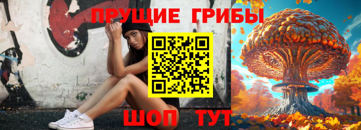 Псилоцибиновые грибы GOLDEN TEACHER  Вход с VPN  Красногорск 